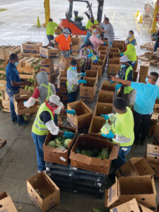 TKM Bengard Farms distributes boxes of fresh produce.