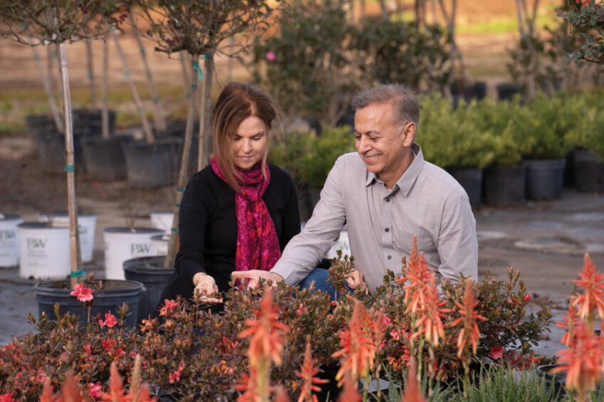Persica Landscape Nursery owners Ashie and Reza Karimipour