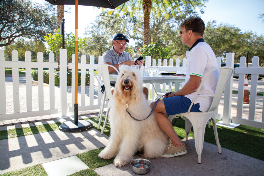 Men eating on a patio in Downtown Abacoa with their dog
