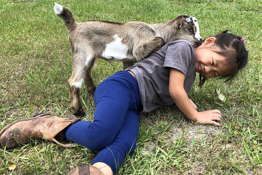 Little girl and goat at Photo credit: Parsley Lane Farm