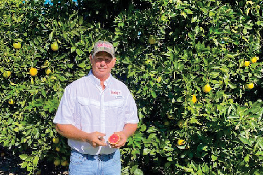 Joe Mattingly at his citrus farm