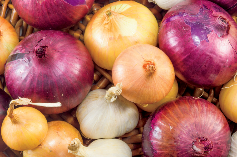 onions; fall veggies