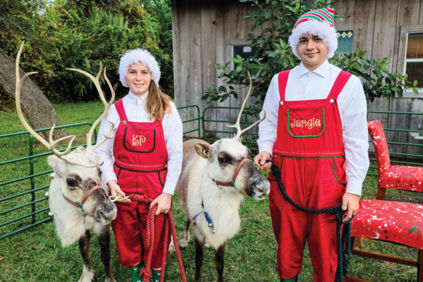 Workers dressed as Elvis with reindeer at Cowboy Christmas