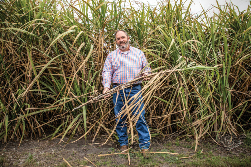 Keith Wedgworth with sugarcane