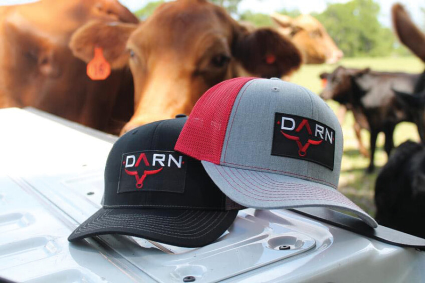 Two DARN Apparel hat with a cow in the background