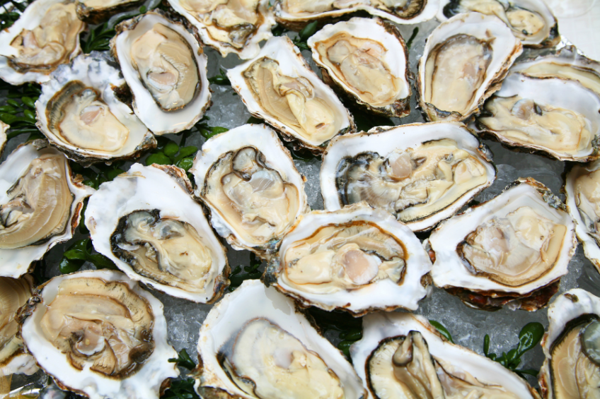 Halved oysters