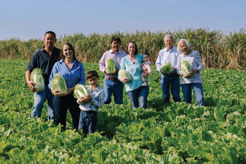 The Yee family in the Napa cabbage field