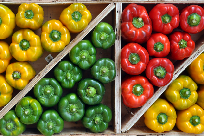 Yellow, red and green bell peppers in crates
