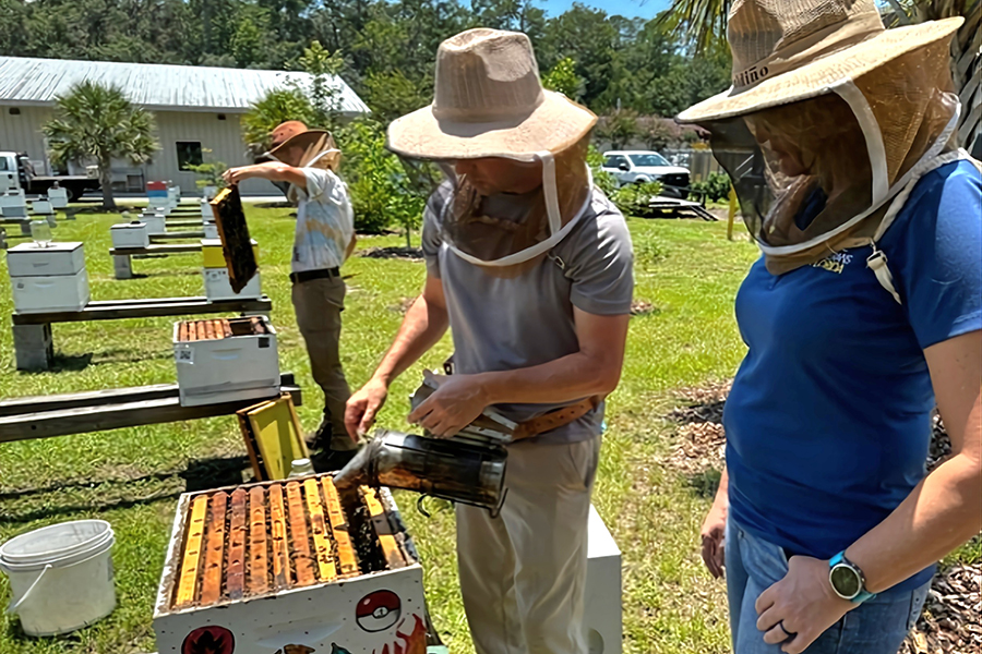 Beekeepers smoke a hive as part of the Veterans Florida agriculture job training