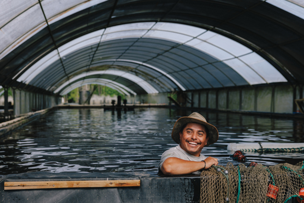 Rafael Morales with a net in one of the tanks at EarthCare Aquaculture