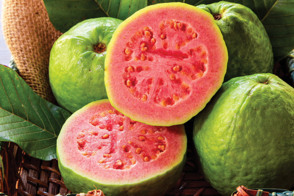Guava cut in half
