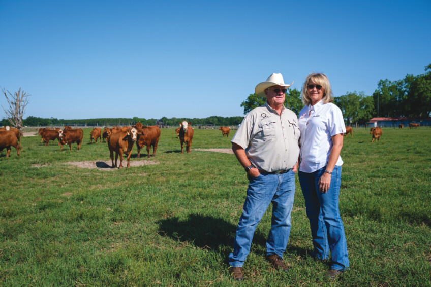 Don and Donna in a field with their cattle at Quincey Cattle Company