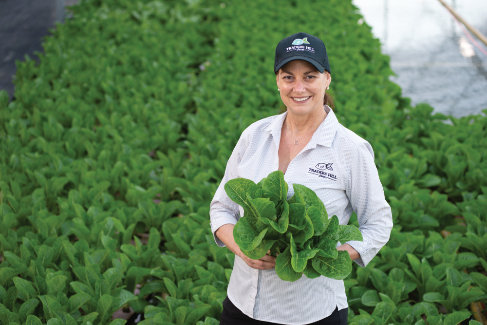 Tracy Nazzaro holding lettuce standing in waders in one of the Traders Hill Farm ponds